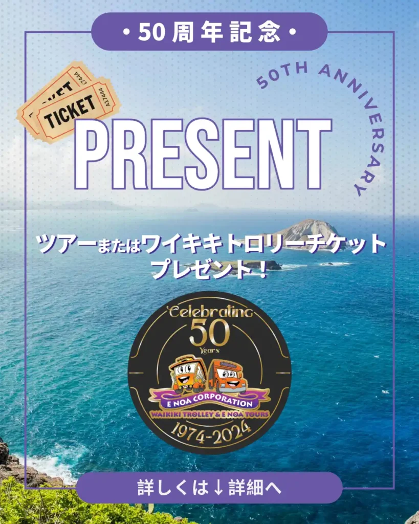 50th Anniversary エノアツアーズ50周年