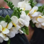 May day is Lei Day 2024