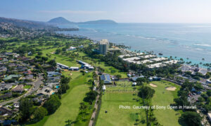 Sony Open in Hawaii 2024