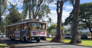 Waikiki Trolley | Honolulu Hop-On Hop Off Sightseeing Tours