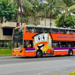 Pink Line - Waikiki Trolley