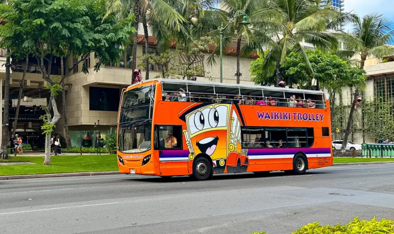 Pink Line - Waikiki Trolley